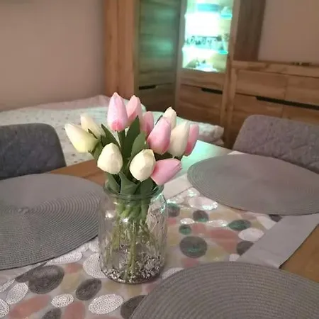 Apartmán Przytulne M1 U Podnoza Gor Kowary Exteriér fotografie