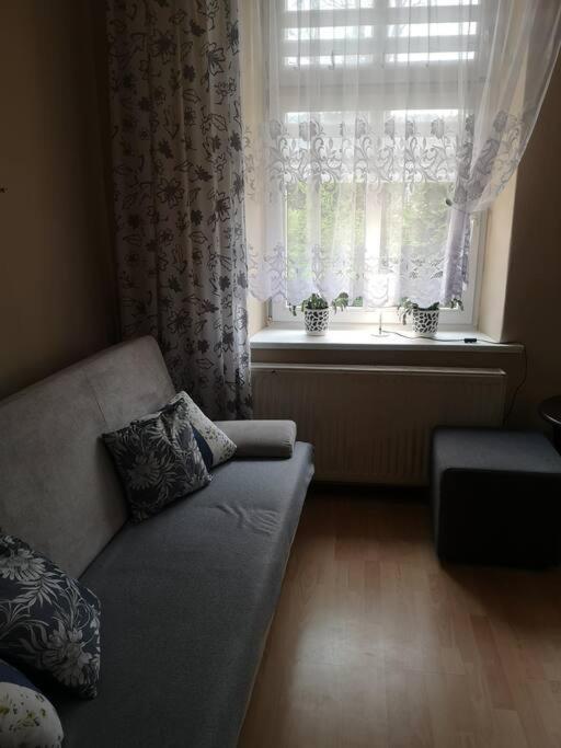 Apartment Przytulne M1 U Podnoza Gor