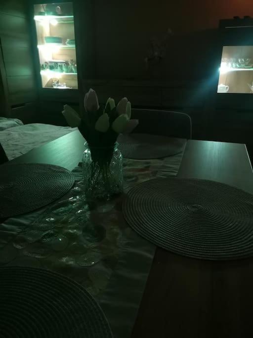 Apartment Przytulne M1 U Podnoza Gor Kowary